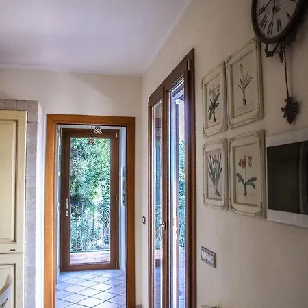Panorama *